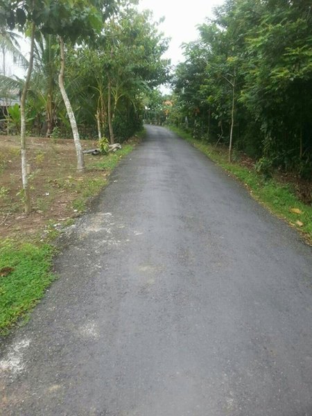 chuyển nhượng QSDĐ