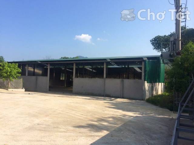 Bán nhà xưởng rộng 3000m2 tại Thanh Sơn, Phú Thọ