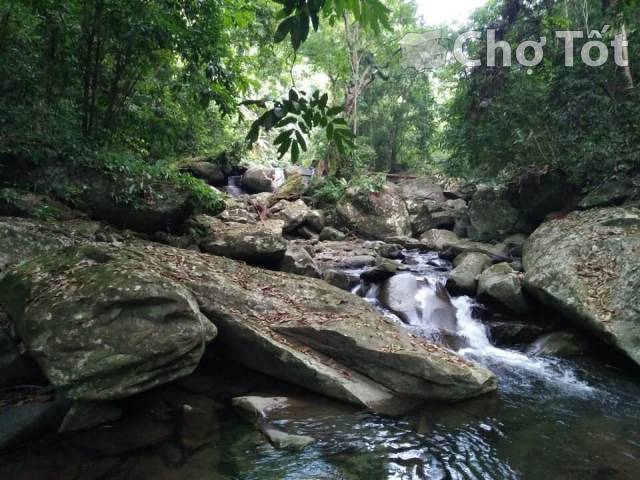 Bán đất tại Sơn Dương, Tuyên Quang giá 1,1 tỷ