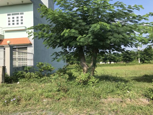 ĐẤT TRUNG TÂM THỊ TRẤN BẾN LỨC GIÁ RẺ NHẤT THỊ TRƯỜNG, SHR, XDTD giá chỉ 350 triệu