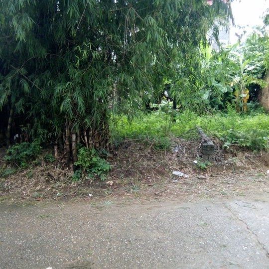 BÁN ĐẤT DINH HƯƠNG - ĐỨC THẮNG - HIỆP HÒA - BẮC GIANG