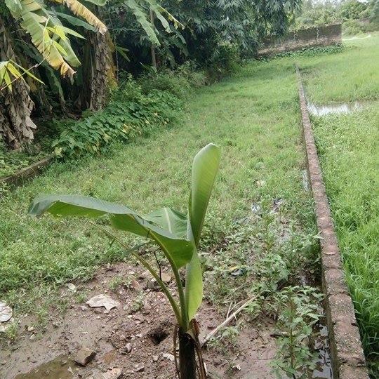 BÁN ĐẤT Ở HƯNG THỊNH - ĐỨC THẮNG - HIỆP HÒA - BẮC GIANG