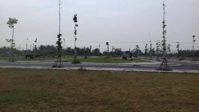 Bán đất nền dự án Khu Dân Cư Long Thạnh Hưng, Thị trấn Chợ Gạo, Tỉnh Tiền Giang