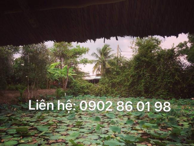 KHU ĐÔ THỊ LOẠI 1 TRUNG TÂM THÀNH PHỐ - 300 TRIỆU, CAM KẾT TỪ SINH LỜI ĐẾN SINH LỜI !!!!
