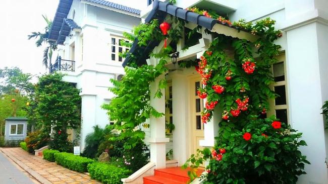Đã Mở Bán Biệt Thự Tại Khu Nghỉ Dưỡng Vườn Vua Resort Chỉ Từ 1,8 đến 3Tỷ,Lợi Nhuận 12,5%