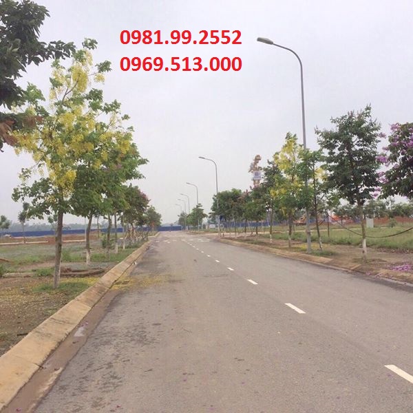 Bán đất Nam Vĩnh Yên giá ưu đãi nhất