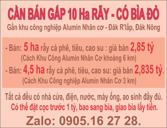 CẦN BÁN GẤP 10 HA RẪY GẦN KHU CÔNG NGHIỆP ALUMIN NHÂN CƠ, ĐĂK R