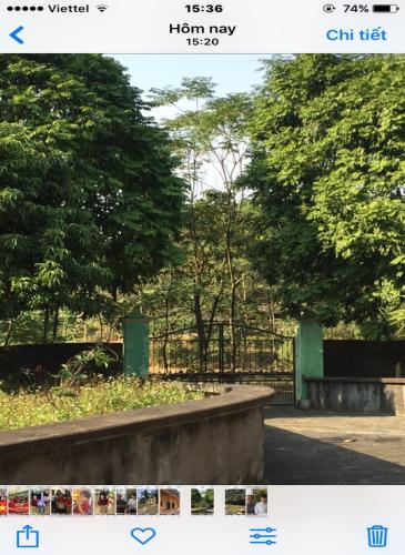 Bán nhà đất nghỉ dưỡng tại xã thanh minh phú thọ