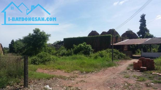 Cần tiền trả nợ bán gấp đất MT Tỉnh lộ 852, Xã Tân Dương, huyện Lai Vung, Đồng Tháp