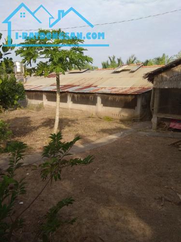 Kẹt tiền Bán nhà , Xã Vĩnh Kim ,Trà Vinh, 5000m2 , giá 1,19 tỷ .