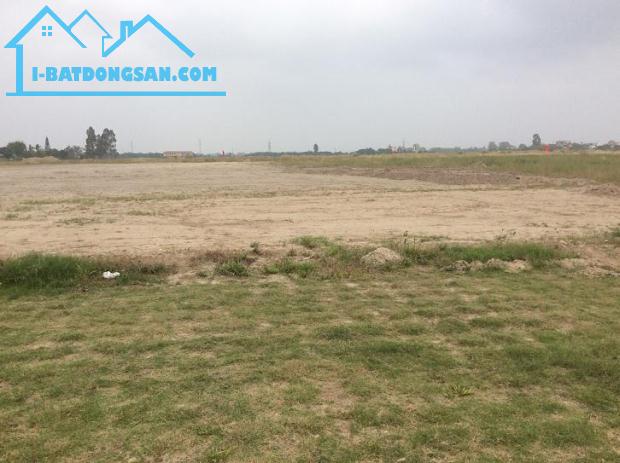 Bán đất cụm công nghiệp Lương Điền, Hải Dương dt 5000m2 tới 30.000m2