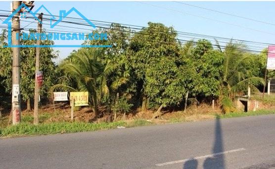 Chuyển nhà ra Bắc nên bán lại lô đất tại MT TL 852, Ấp Tân Lộc A, Tân Dương, Đồng Tháp.