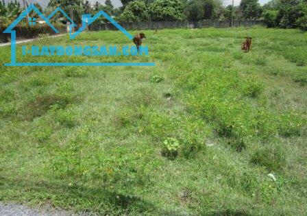 Đất bán chính chủ, có sổ đỏ, giá nguyên khu đất 105 tỷ
