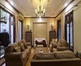 Biệt thự đẳng cấp vip nhất phố Lâm Du, nội thất xịn sò, 285m2 x 4T, MT 8.2m giá thỏa thuận