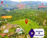 Đất vườn sầu riêng 1000m2 Huyện Tân Phú, Tỉnh Đồng Nai giá mềm