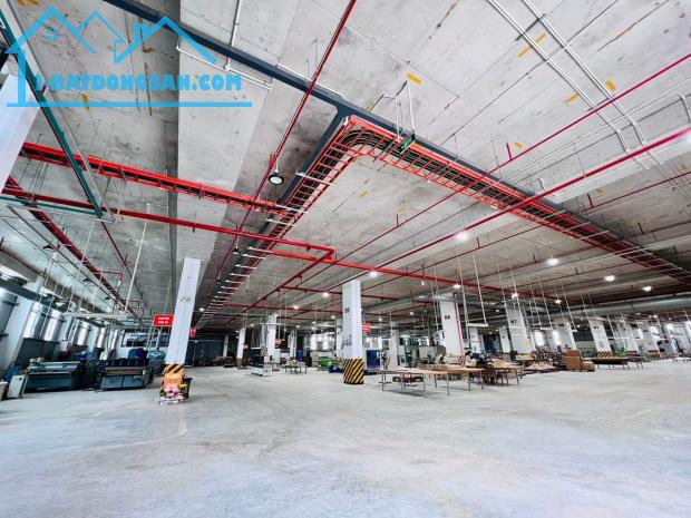 C3: Xưởng sản xuất cho thuê khu công nghiệp Loteco, An Bình, Biên Hòa Đồng Nai
