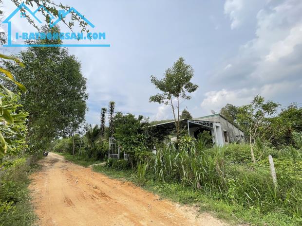 Bán 4005m2 đất GIÁ NGỢP Phú An, Huyện Tân Phú đường xe hơi 150m2 ONT - 4