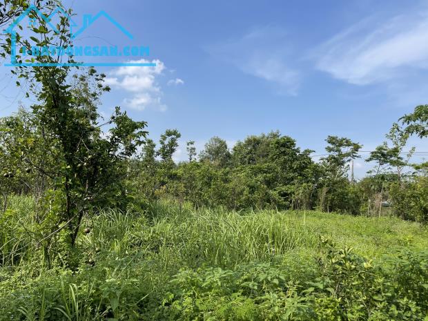 Bán 1.1 ha đất GIÁ NGỘP Phú Thịnh, Huyện Tân Phú đường xe hơi có cây ăn trái - 1