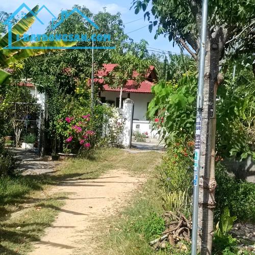 Bán đất vườn có sẵn thổ cư ở Hàm Liêm gần ủy ban xã cách Phan Thiết 2,5 km - 1