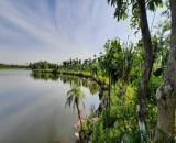 Bán Rẻ 2 lô đất Biệt thự Song Lập khu Vườn Hồng - View hồ điều hòa lớn nhất Từ sơn