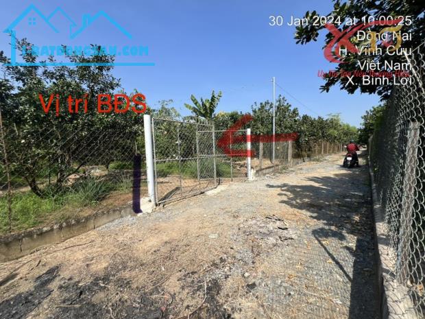 Bán đất vườn Bưởi xã Bình Lợi Vĩnh Cửu Đồng Nai dt 5.486m2 giá 15 tỷ - 3