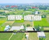 Đất  biển Bình Thuận giá đầu tư năm 2024