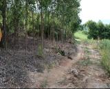 Hàng ngộp cần bán lô đất 2000m2 xã Ea Bar, Huyện Sông Hinh, tỉnh phú yên