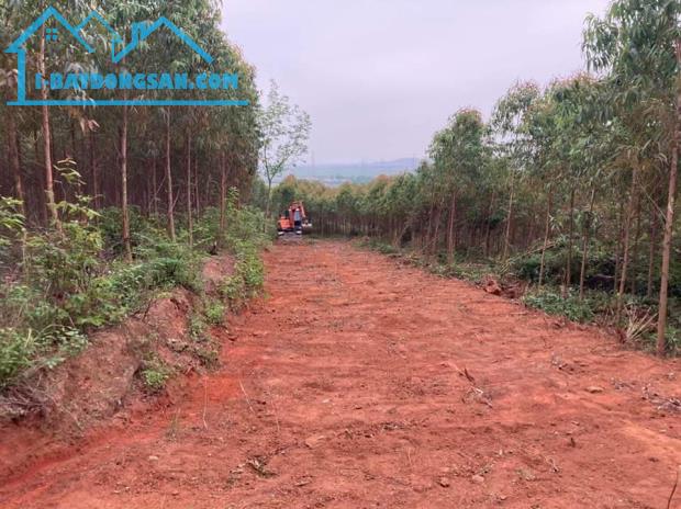 Bán lô đất 2345,7m2 tại xã Đan Hội, Lục Nam, Bắc Giang gần Hồ Thanh Long giá chỉ 650k/m2