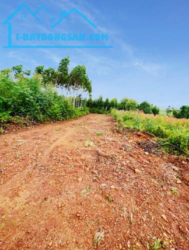 Bán lô đất 2345,7m2 tại xã Đan Hội, Lục Nam, Bắc Giang gần Hồ Thanh Long giá chỉ 650k/m2 - 3