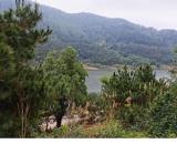 1800m2 đất view nhìn hồ Đồng Đò- Sóc Sơn làm sinh thái nghỉ dưỡng giá chỉ 2tr/m