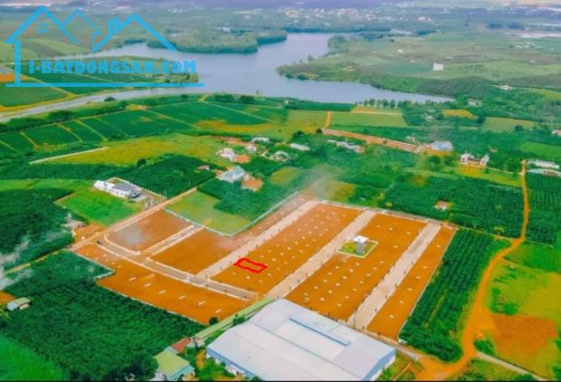 Chính Chủ Cần Bán Nhanh Lô đất 100% Thổ Cư Vị Trí đẹp tại huyện Bảo Lâm, tỉnh Lâm Đồng - 4