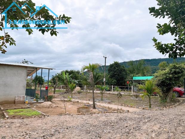 Cần tiền bán lỗ lô đất 1200m có sẵn nhà cấp 4 vườn cây ăn trái giáp sông Trò siêu xịn xò