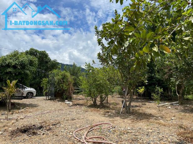 Cần tiền bán lỗ lô đất 1200m có sẵn nhà cấp 4 vườn cây ăn trái giáp sông Trò siêu xịn xò - 1