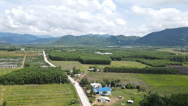 Bán đất MT TL8b Khánh Bình ,huyện Khánh Vĩnh , Khánh Hòa - 3