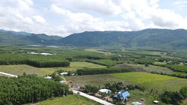Bán đất MT TL8b Khánh Bình ,huyện Khánh Vĩnh , Khánh Hòa - 2