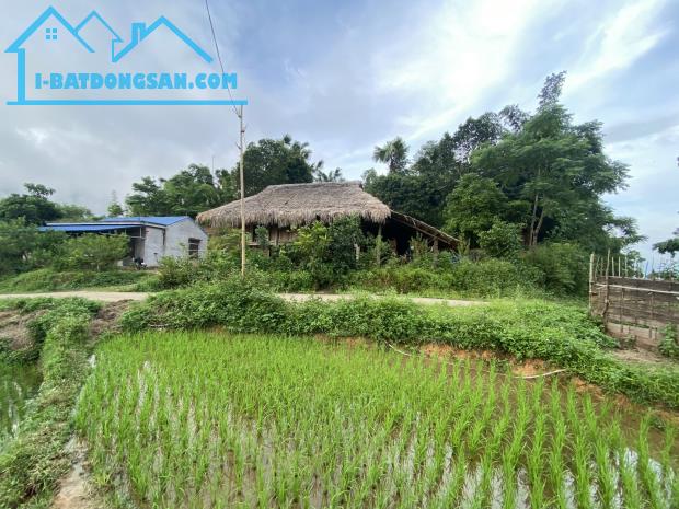 Giá chỉ hơn 200k/m2 gia đìnhh cần bán nhanh lô đất tại Đà Bắc Hòa Bình - 4