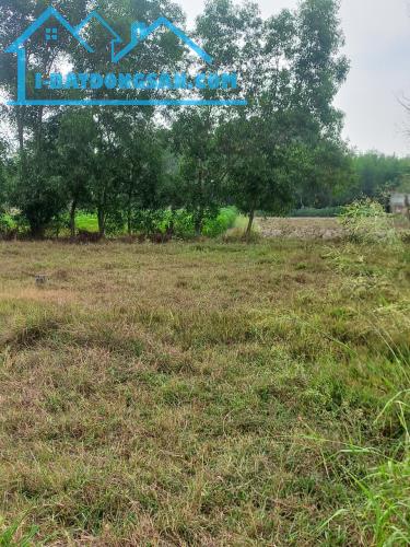 Chị ruột cần bán 1 lô đất khu biệt thự xã Vĩnh Thanh, Nhơn Trạch - 3