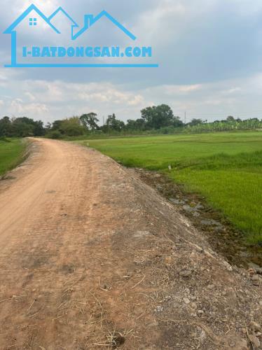 (L473) Đất nông nghiệp gần Cầu Bến Nấy, xã Phú Hòa Đông, dt 3694m2, chỉ 1tr5/m2