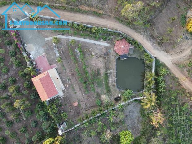 Bán căn nhà vườn Ea NuôL Hòa Nam ĐakLak2000m giá chỉ 1,3 tỷ - 4