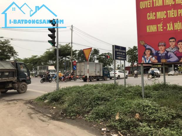 Bán đất đấu giá, kinh doanh xã Tam Đồng, Mê Linh, Hà Nội, đường rộng 100m,5x triệu/m2 - 1