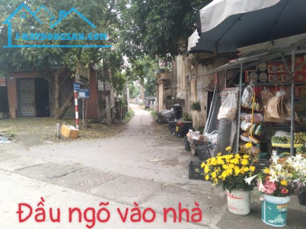 Bán đất đã có nhà 2 tầng hiện đang kinh doanh quán cafe xã Ngọc Sơn, Hiệp Hoà,Bắc Giang - 1