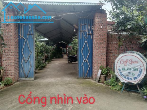 Bán đất đã có nhà 2 tầng hiện đang kinh doanh quán cafe xã Ngọc Sơn, Hiệp Hoà,Bắc Giang - 6
