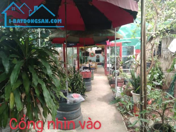 Bán đất đã có nhà 2 tầng hiện đang kinh doanh quán cafe xã Ngọc Sơn, Hiệp Hoà,Bắc Giang - 10