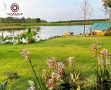 Công ty CP đầu tư và phát triển Thế Giới Đất Việt Mua bán đất nền Organic Nature Garden Bì