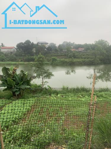 Bán đất view hồ phường Trung Sơn Trầm, Sơn Tây - 2