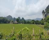 Siêu rẻ đất tại Lương Sơn, Hòa Bình 3900m2, giá 5 tỷ