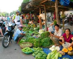 Tôi chính chủ bán gấp 2 dãy nhà trọ đang kinh doanh thu nhập ổn định 17triệu/ tháng - 2