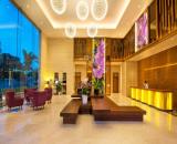 Hotel 65 phòng 4 sao Đẳng cấp nhất Q.Cầu Giấy_Lô góc 2 phố lớn 9 tầng có hầm_323m2_Mt 30m