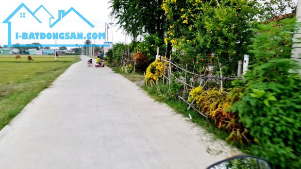 Bán Đất 10x59m đường xe hơi ấp Bình Thủy, xã Hòa Khánh Đông, Đức Hòa, Long An giá 2.5 tỷ