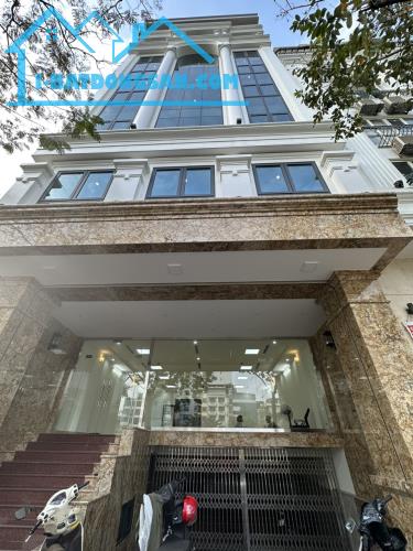 💥 Tòa nhà Văn Phòng Phố Đào Tấn, Ba Đình, 120m2 8T có hầm, MT 10m, Chỉ 41 Tỷ 💥 - 3